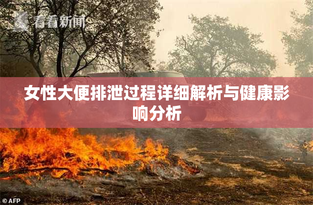 女性大便排泄过程详细解析与健康影响分析
