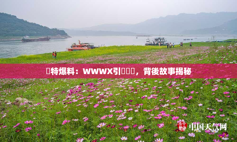 獨特爆料：WWWX引發熱議，背後故事揭秘