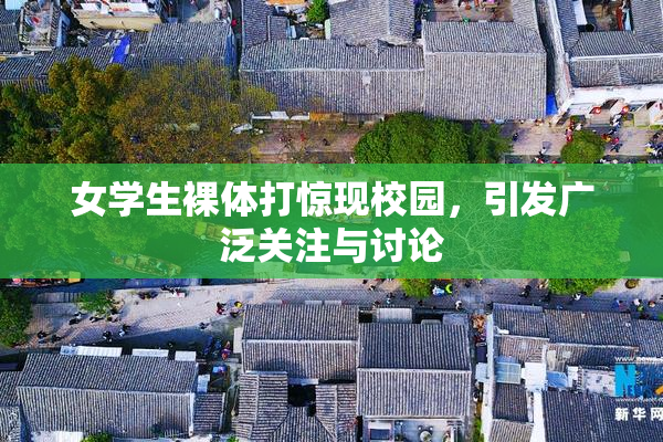 女学生裸体打惊现校园，引发广泛关注与讨论