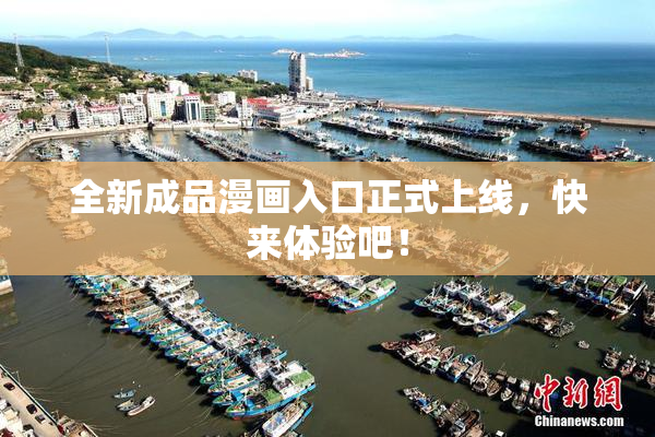 全新成品漫画入口正式上线，快来体验吧！