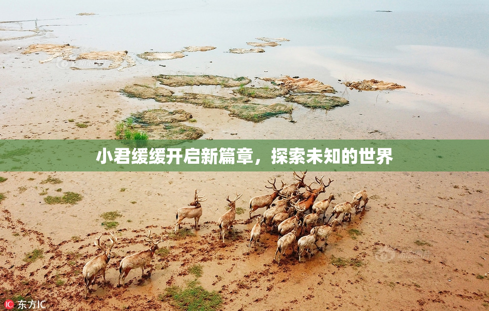 小君缓缓开启新篇章，探索未知的世界