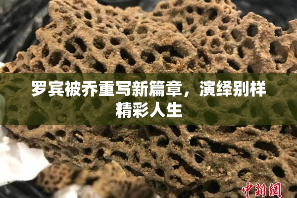 罗宾被乔重写新篇章，演绎别样精彩人生