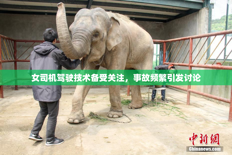 女司机驾驶技术备受关注，事故频繁引发讨论