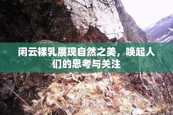 闲云裸乳展现自然之美，唤起人们的思考与关注