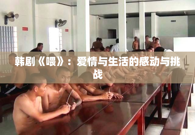 韩剧《喂》：爱情与生活的感动与挑战