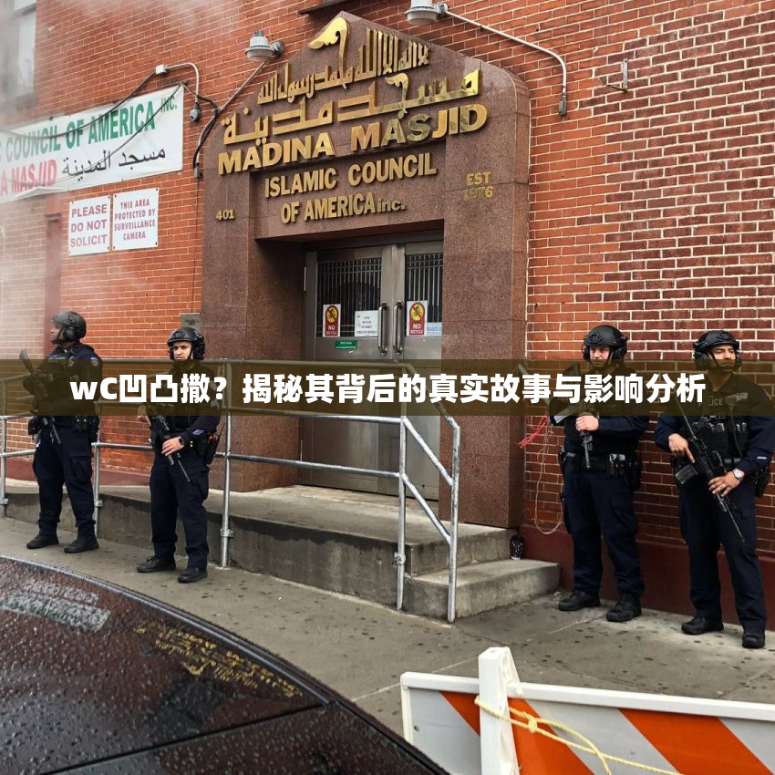 wC凹凸撒？揭秘其背后的真实故事与影响分析