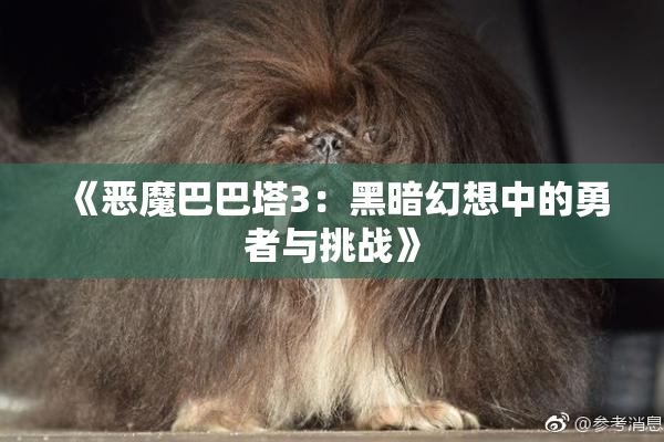 《恶魔巴巴塔3：黑暗幻想中的勇者与挑战》