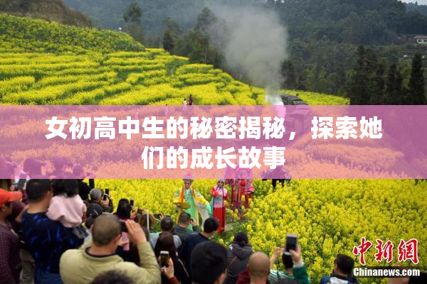 女初高中生的秘密揭秘，探索她们的成长故事