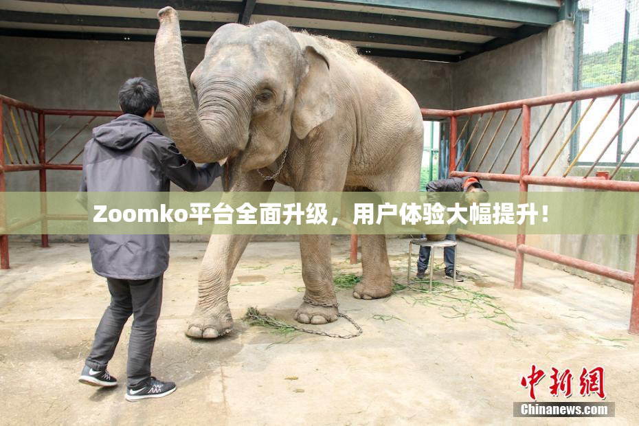 Zoomko平台全面升级，用户体验大幅提升！
