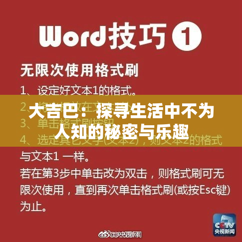 大吉巴：探寻生活中不为人知的秘密与乐趣