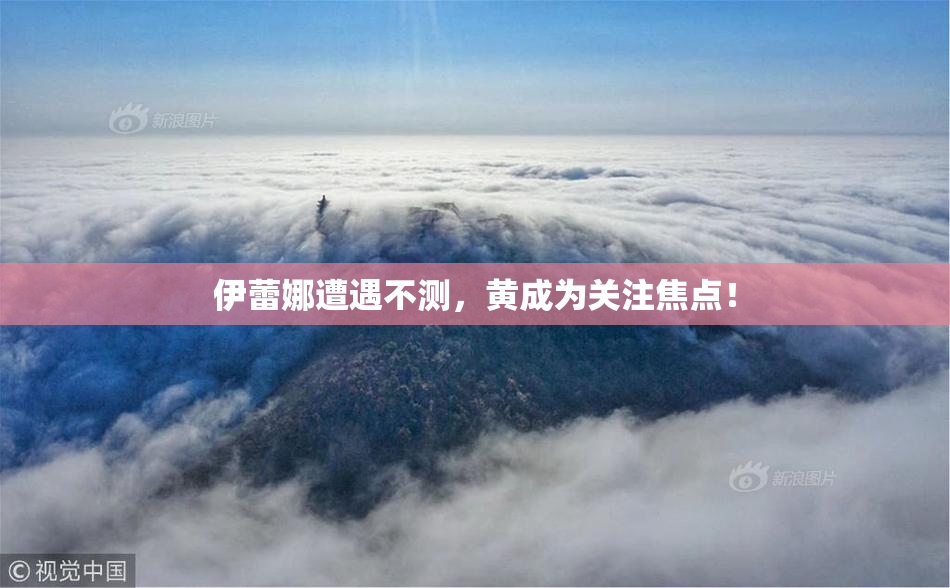 伊蕾娜遭遇不测，黄成为关注焦点！