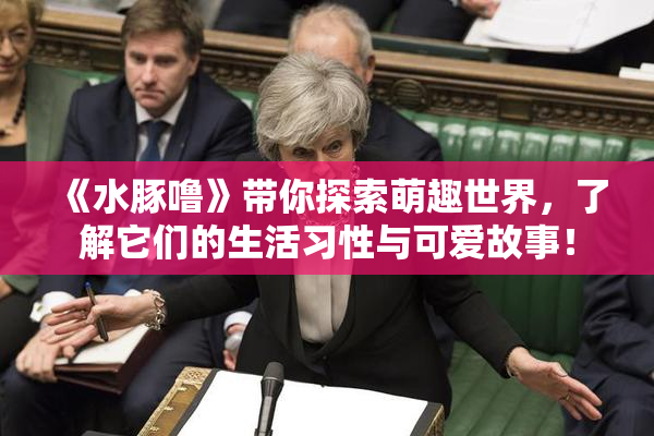 《水豚噜》带你探索萌趣世界，了解它们的生活习性与可爱故事！