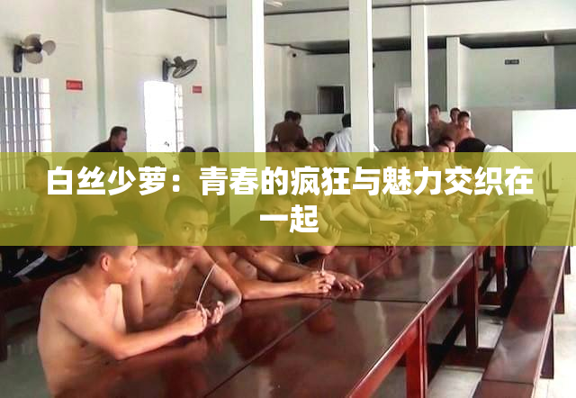 白丝少萝：青春的疯狂与魅力交织在一起