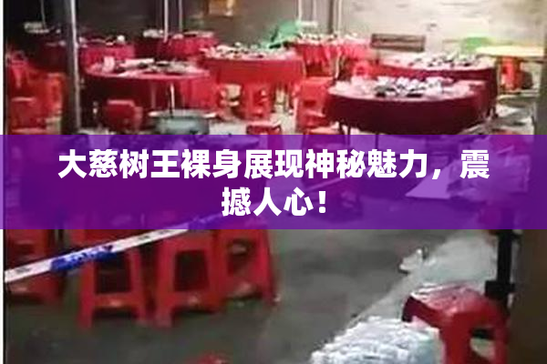 大慈树王裸身展现神秘魅力，震撼人心！