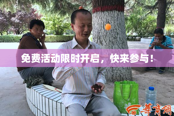 免费活动限时开启，快来参与！