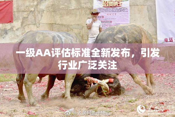 一级AA评估标准全新发布，引发行业广泛关注