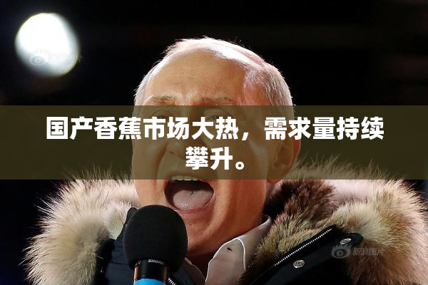 国产香蕉市场大热，需求量持续攀升。