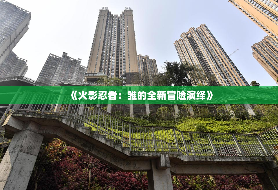《火影忍者：雏的全新冒险演绎》
