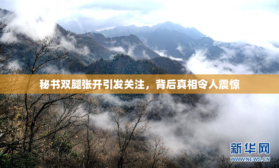 秘书双腿张开引发关注，背后真相令人震惊