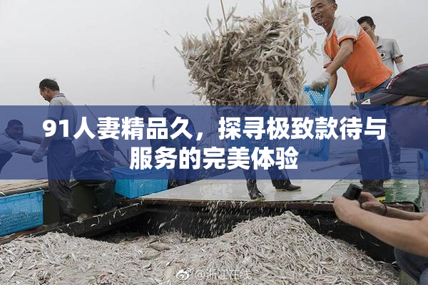 91人妻精品久，探寻极致款待与服务的完美体验
