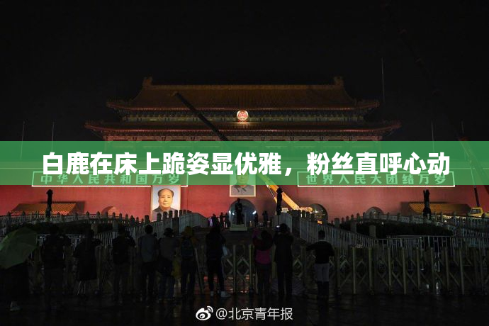白鹿在床上跪姿显优雅，粉丝直呼心动