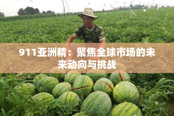 911亚洲精：聚焦全球市场的未来动向与挑战