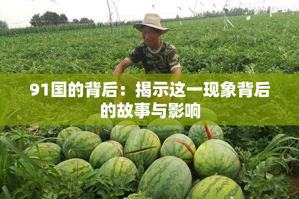 91国的背后：揭示这一现象背后的故事与影响