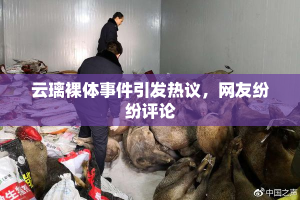 云璃裸体事件引发热议，网友纷纷评论