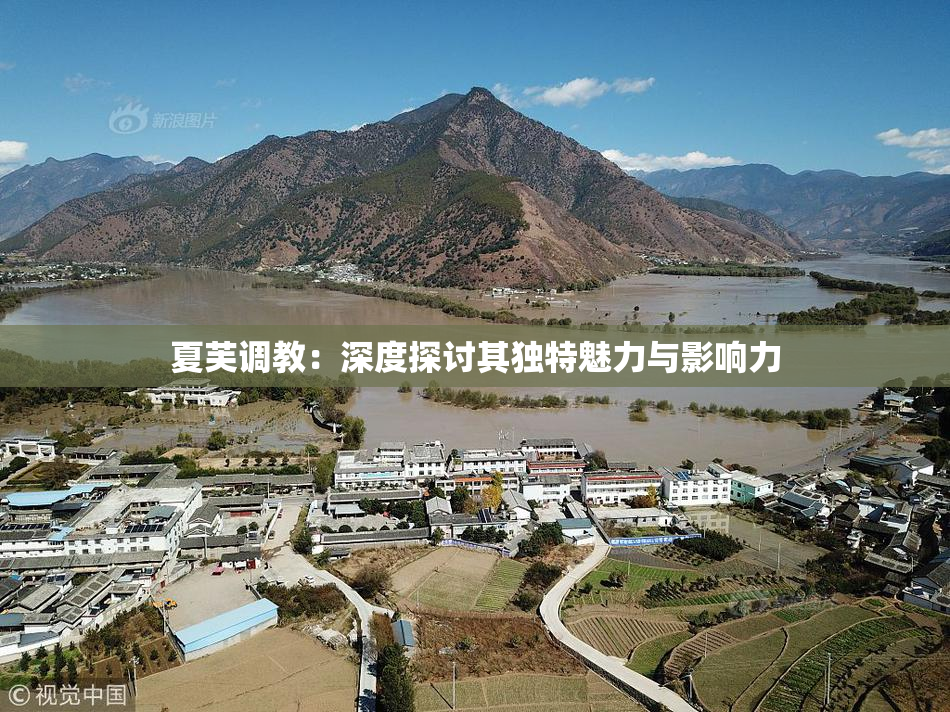 夏芙调教：深度探讨其独特魅力与影响力