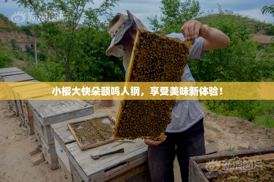 小樱大快朵颐鸣人钢，享受美味新体验！