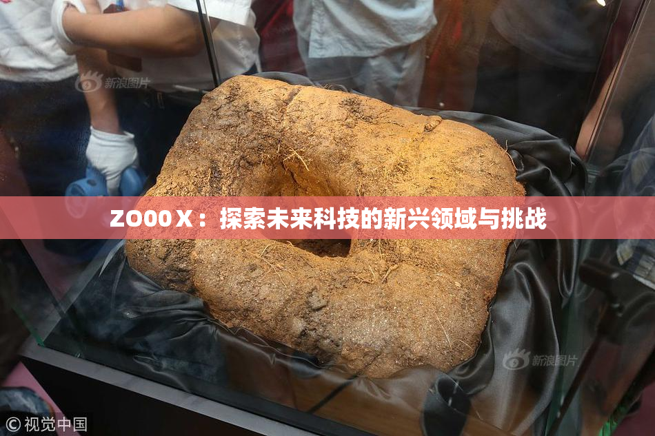 ZO00Ⅹ：探索未来科技的新兴领域与挑战