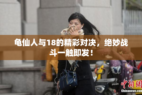 龟仙人与18的精彩对决，绝妙战斗一触即发！