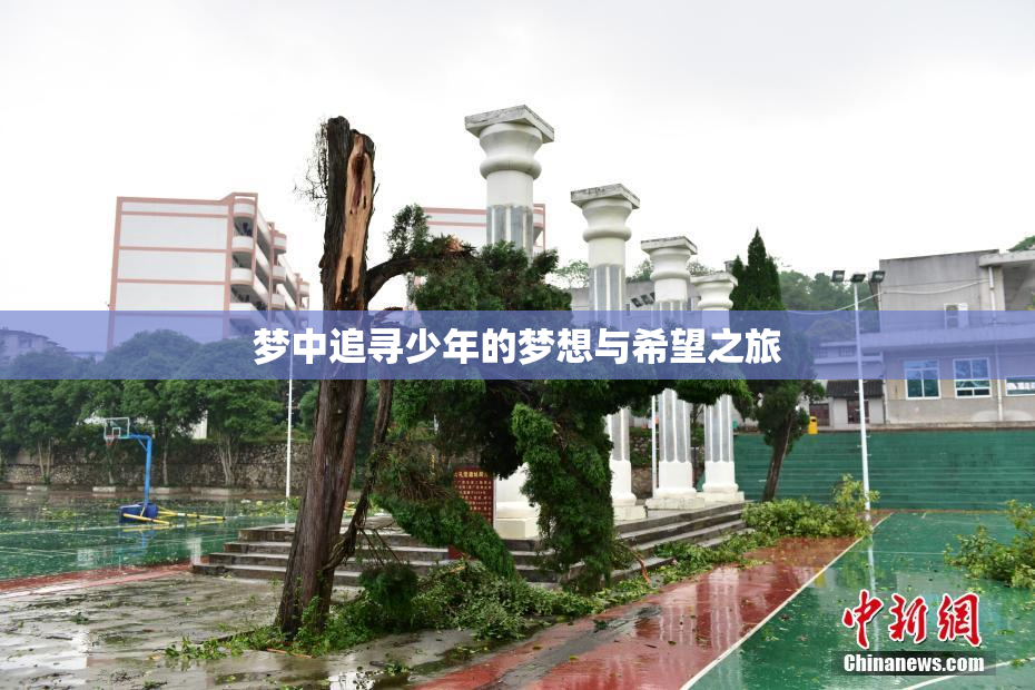 梦中追寻少年的梦想与希望之旅