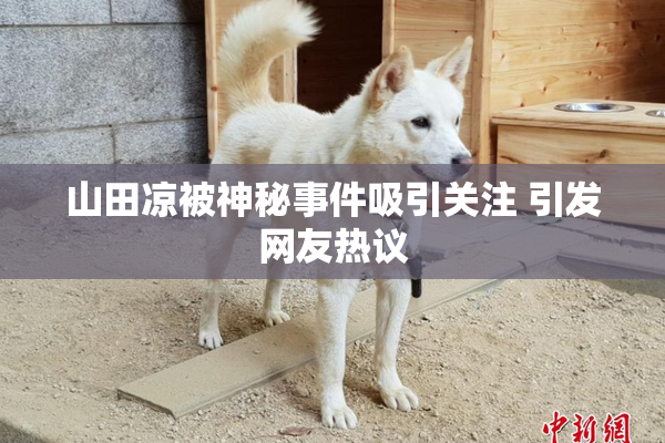 山田凉被神秘事件吸引关注 引发网友热议