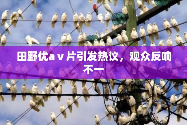 田野优aⅴ片引发热议，观众反响不一
