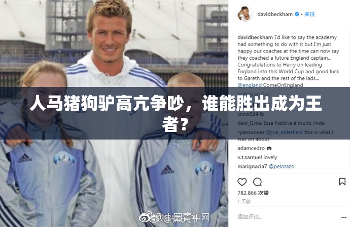 人马猪狗驴高亢争吵，谁能胜出成为王者？