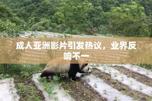 成人亚洲影片引发热议，业界反响不一