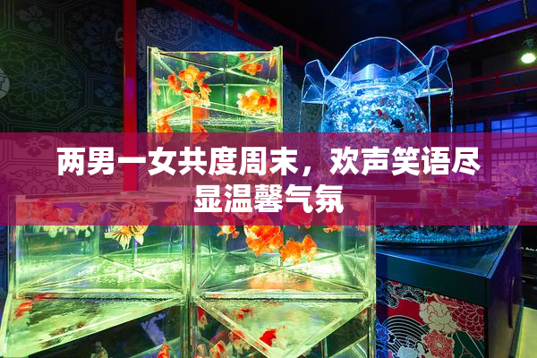 两男一女共度周末，欢声笑语尽显温馨气氛