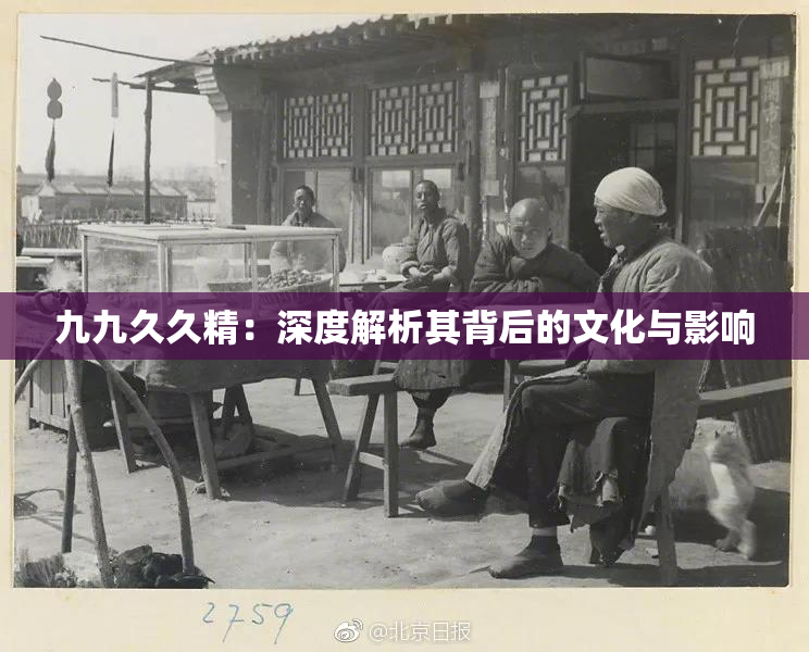 九九久久精：深度解析其背后的文化与影响
