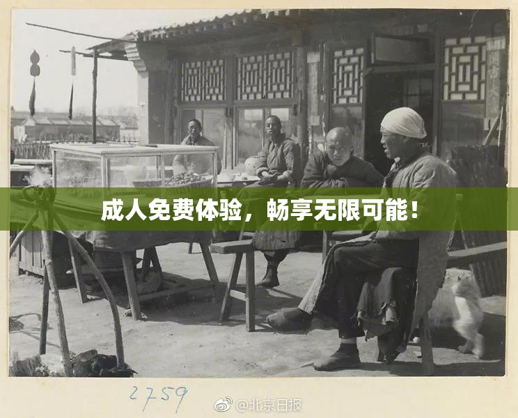 成人免费体验，畅享无限可能！