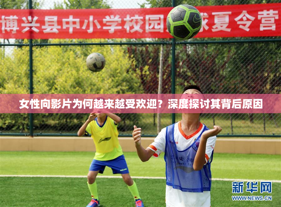 女性向影片为何越来越受欢迎？深度探讨其背后原因