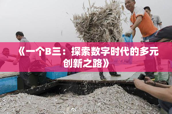 《一个B三：探索数字时代的多元创新之路》