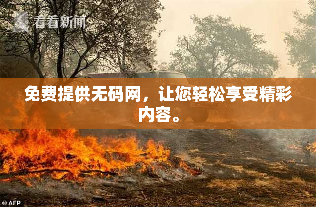 免费提供无码网，让您轻松享受精彩内容。
