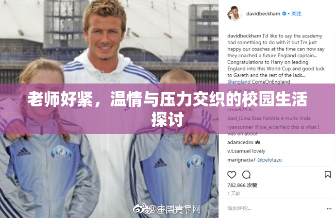 老师好紧，温情与压力交织的校园生活探讨