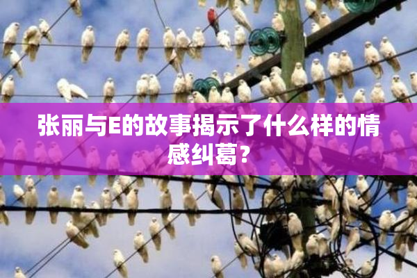 张丽与E的故事揭示了什么样的情感纠葛？