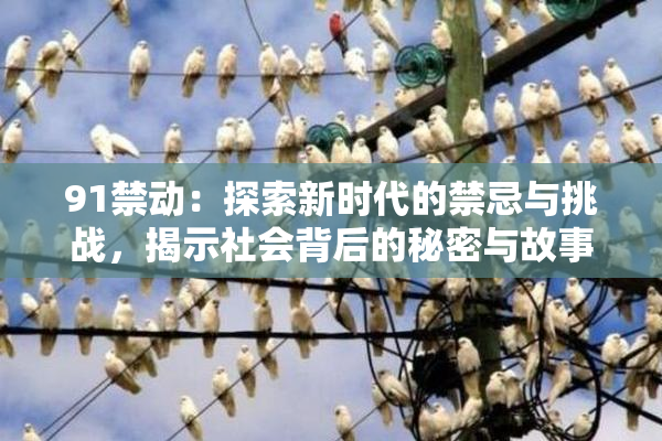 91禁动：探索新时代的禁忌与挑战，揭示社会背后的秘密与故事