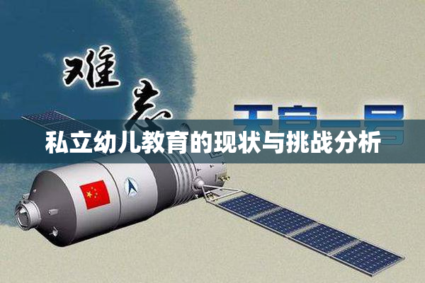 私立幼儿教育的现状与挑战分析