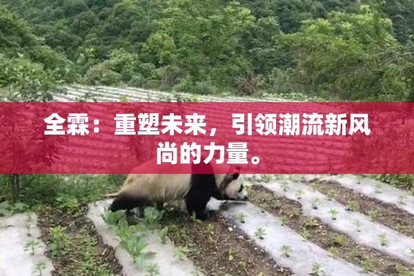 全霖：重塑未来，引领潮流新风尚的力量。