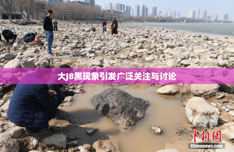 大J8黑现象引发广泛关注与讨论
