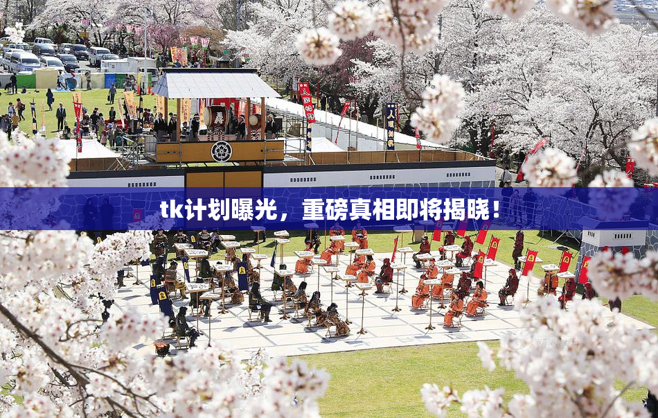 tk计划曝光，重磅真相即将揭晓！